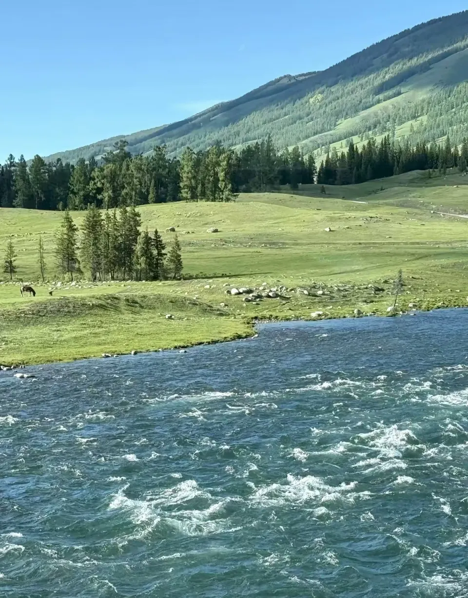 高山草甸与湍急河流